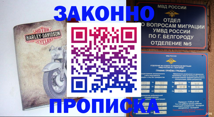 прописка для школы в Мурино
